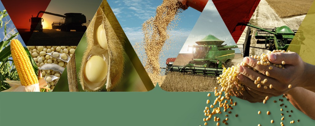 CASE | Gerenciamento Unificado de Ameaças – Solução Nacional