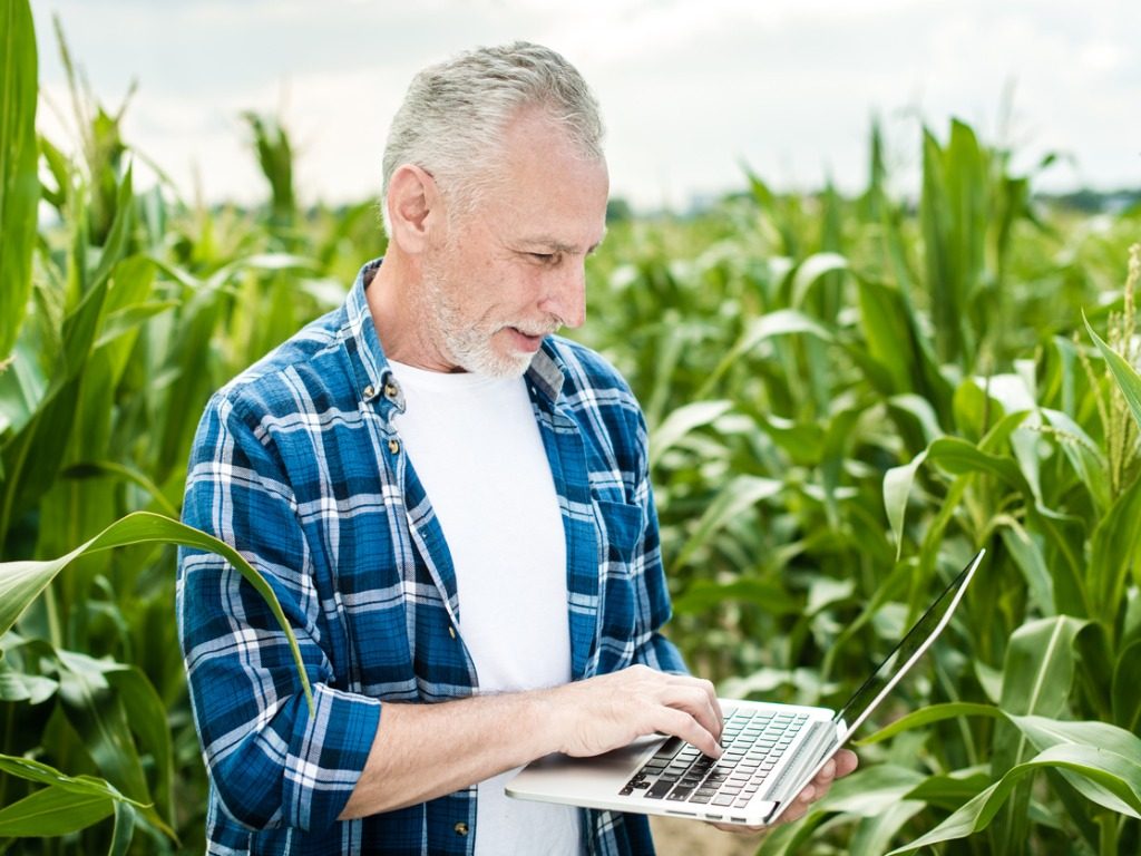 blockchain-para-o-rastreamento-de-carne-bovina