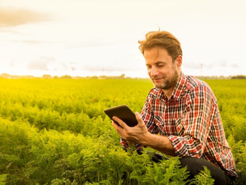 certificado-digital-para-agricultor