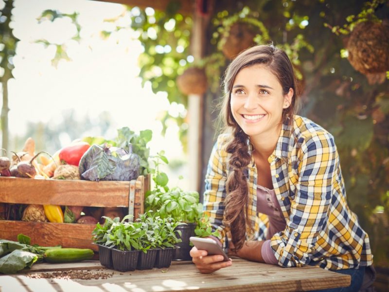 Tabelionatos de Notas contribuem para celeridade no Agronegócio notas