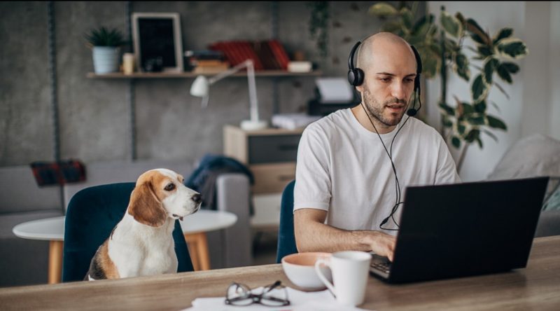 Na busca pelo aumento da produtividade, empresas investem em tecnologia, mas sem abrir mão da segurança da informação trabalho remoto