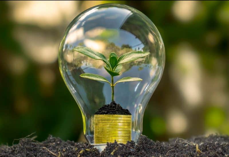 NF-e ajuda a eliminar o uso de mais de 148 bilhões de folhas de papel nos últimos 17 anos nf-e