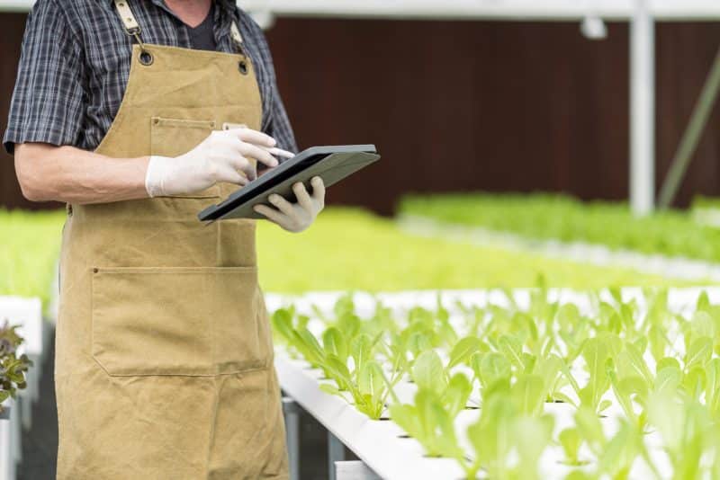 Nota Fiscal Eletrônica começa ser exigência por Produtores Rurais