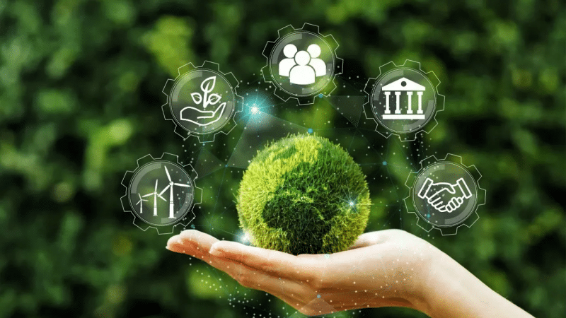 Dia Mundial do Meio Ambiente e a certificação digital como aliada