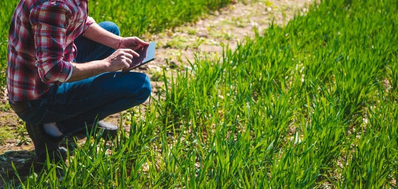 Os certificados digitais fortalecem as operações do agro