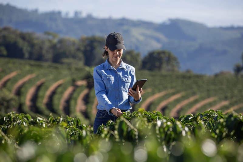 O agronegócio brasileiro tem como estratégia a gestão inteligente