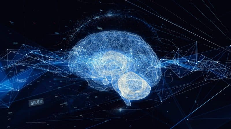 Pandapé usa neurociência e IA para prever comportamentos