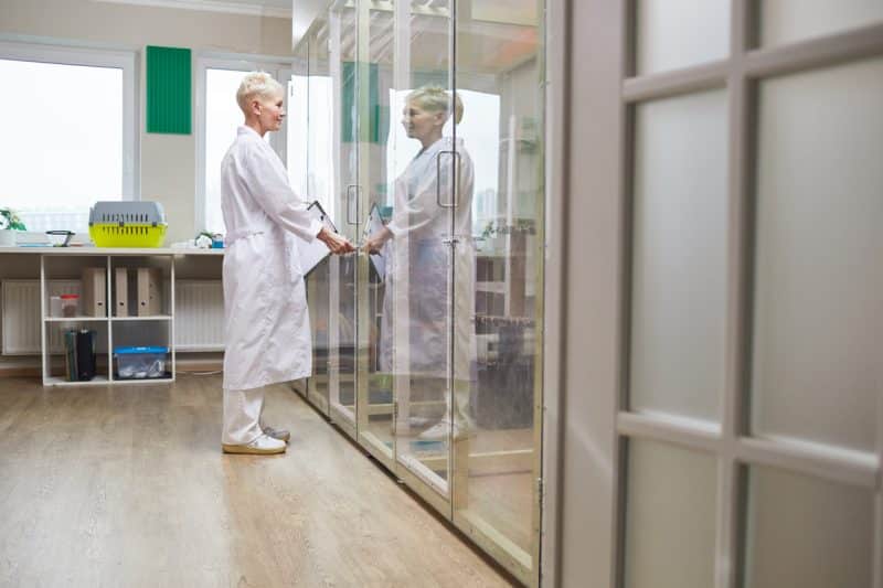 DrogaVET planeja internacionalizar o negócio com a GoTo