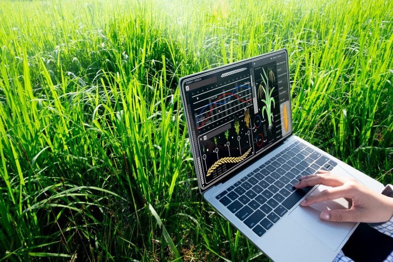 GeoAI e a revolução que está transformando o agronegócio